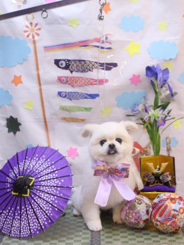 20240507ララちゃん